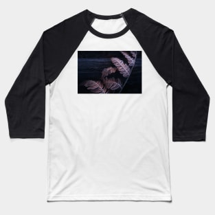 Frozen fern leaves Baseball T-Shirt